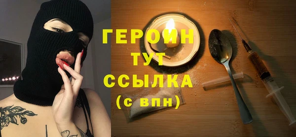 прущие грибы Новодвинск