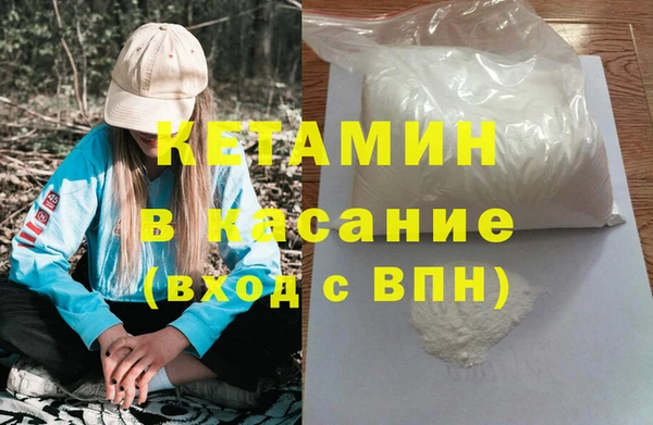 прущие грибы Новодвинск