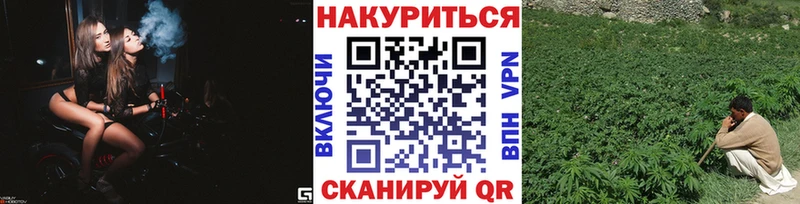 Бошки Шишки SATIVA & INDICA  hydra   Красный Холм  как найти  